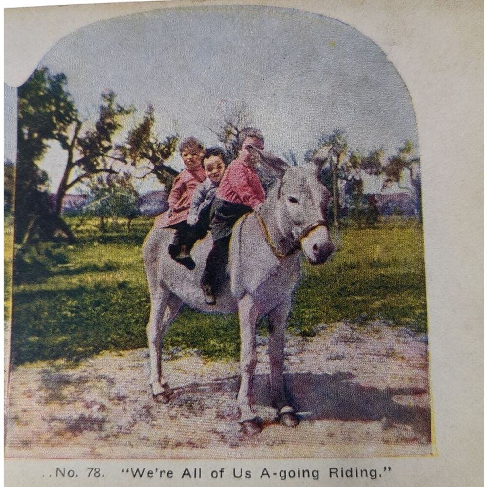 Stereoview Card We Are All of Us A‎ going Riding Kids on Donkey